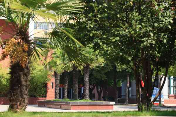 安徽中澳科技职业学院