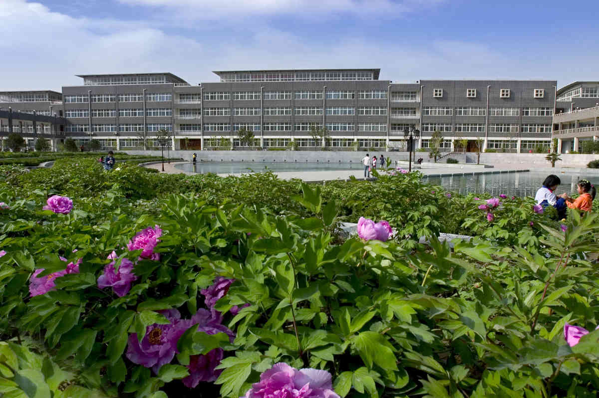 邯郸学院特殊教育学院怎么样设有哪些专业