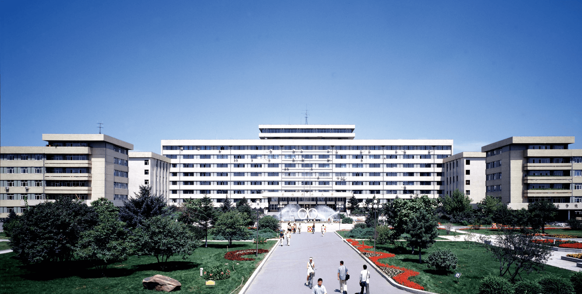 东北农业大学艺术学院怎么样 设有哪些专业 申请方