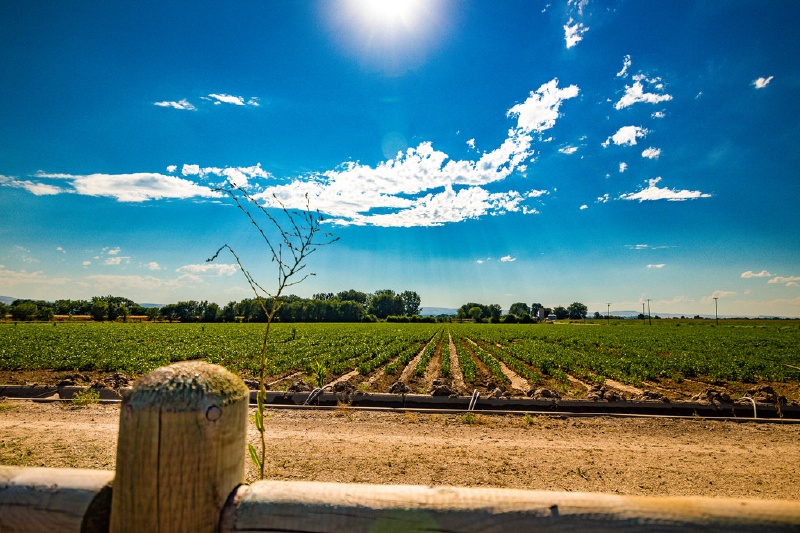 农学专业就业前景