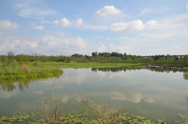 白鹭湾 (1) - 副本.jpeg