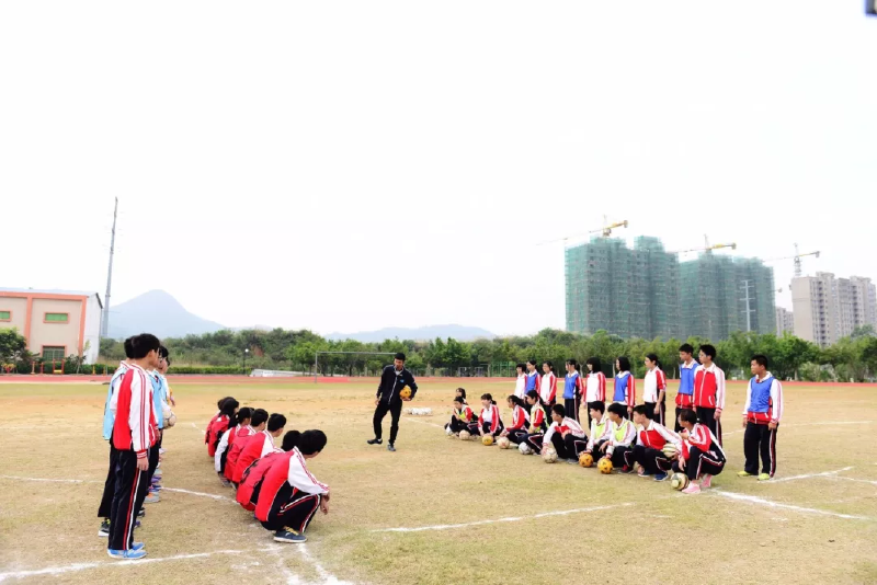 微信图片_201905061323512.png