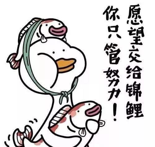 喷喷雾,转锦鲤,这届大学生为了期末有多努(mi)力(xin)