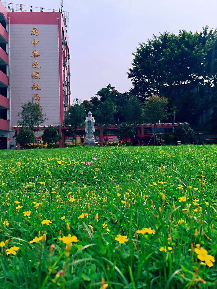 微信图片_20190522170618.png