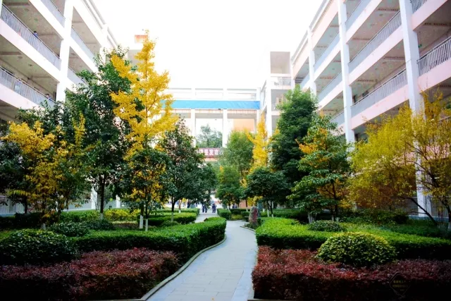 微信图片_201905101622191.png
