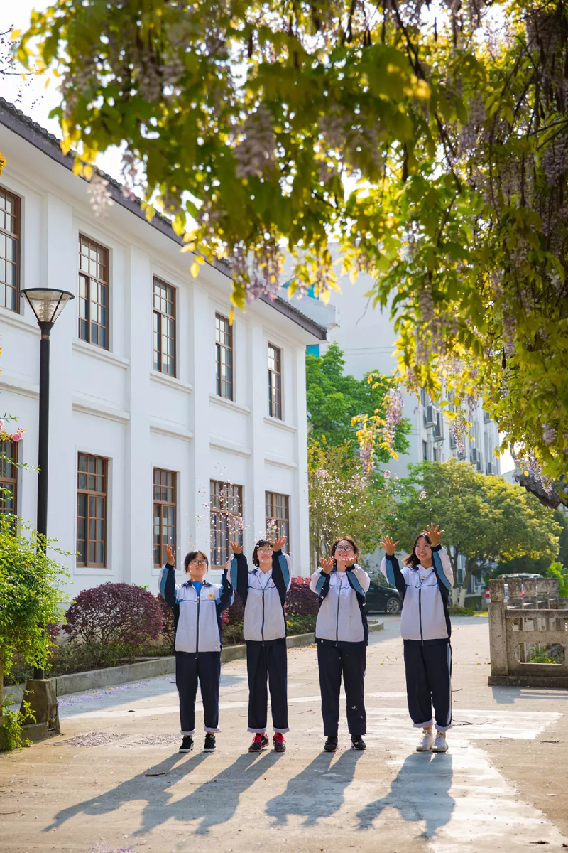 微信图片_20190513093707.png
