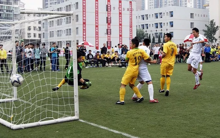 微信图片_201905101119514.png