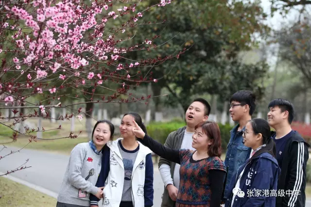 微信图片_20190507161550.png