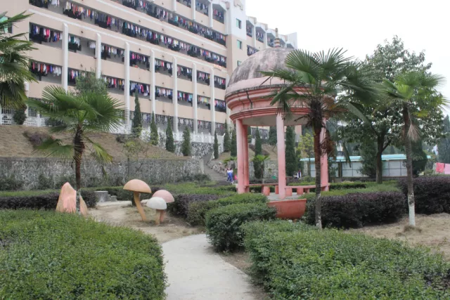 微信图片_20190513093902.png