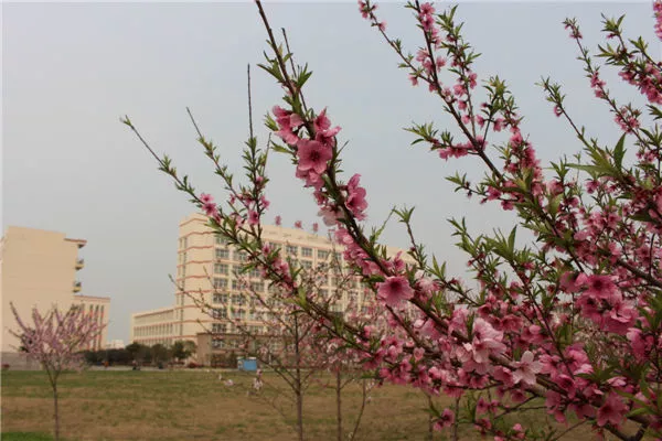 微信图片_20190509105402.png