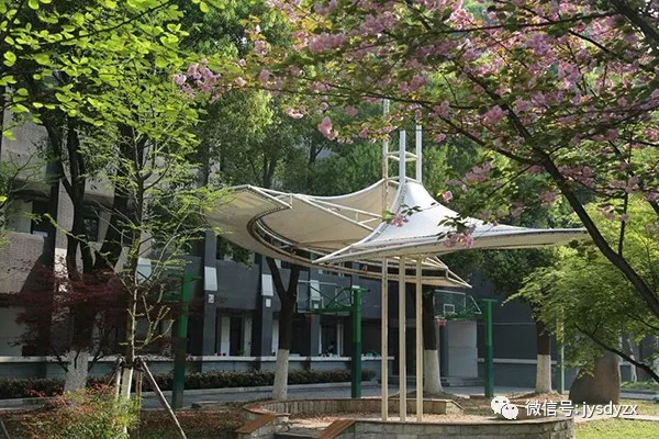 微信图片_20190506143639.png