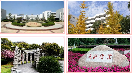 微信图片_201905131719445.png