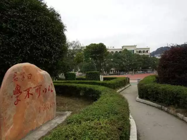 微信图片_20190513093942.png