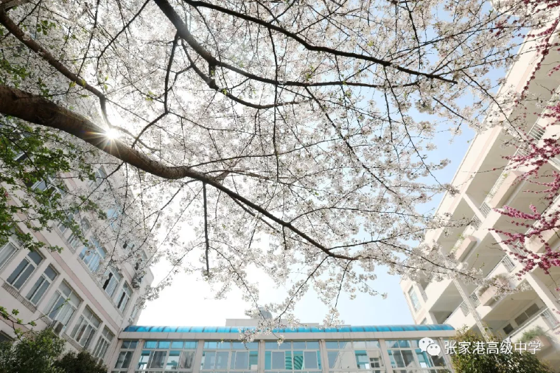 微信图片_20190507161306.png