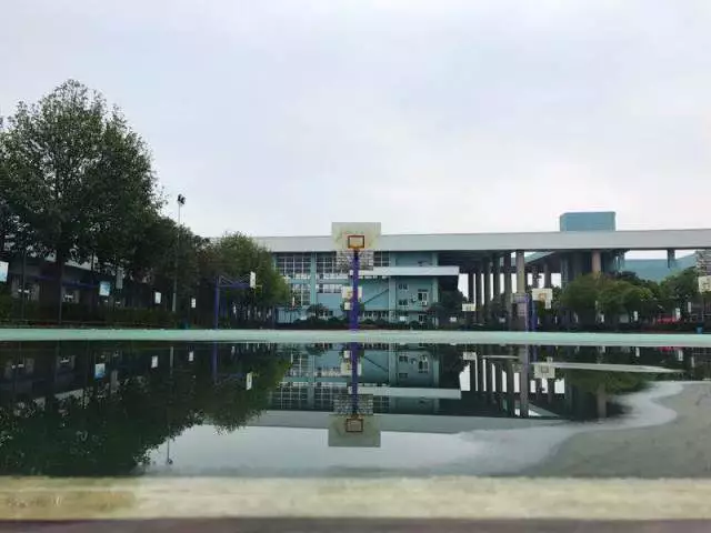 微信图片_201905071417533.png