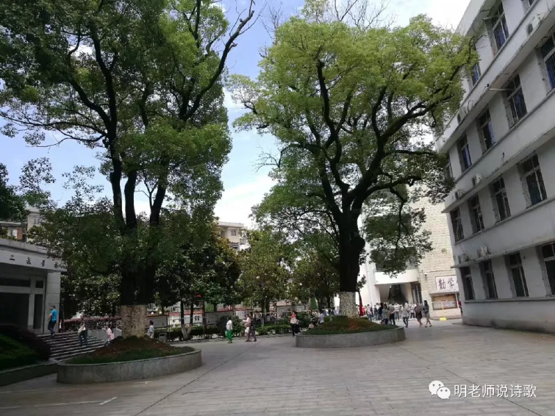 微信图片_20190510115130.png