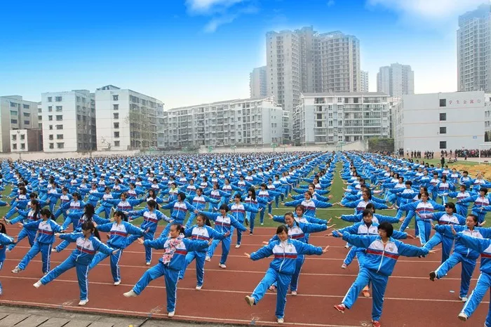 微信图片_201905101119519.png
