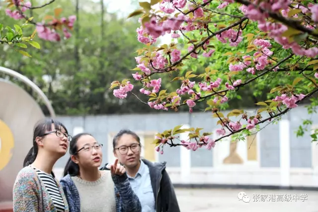 微信图片_20190507161405.png