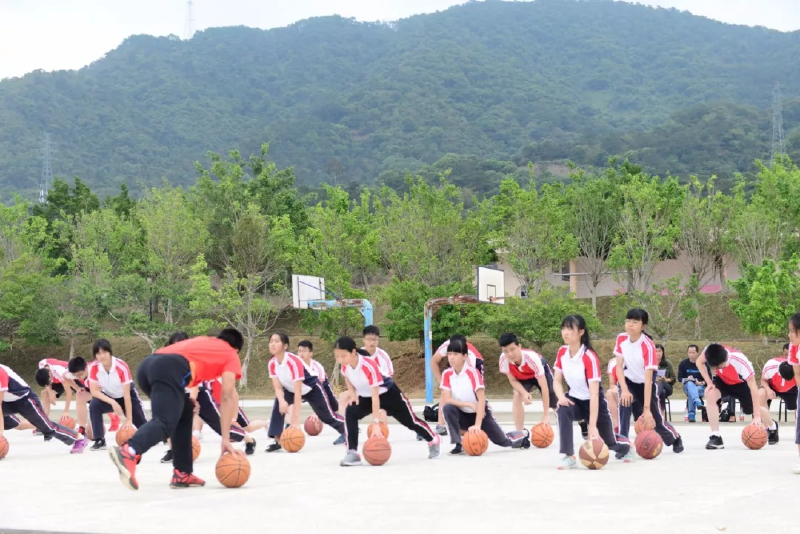 微信图片_201905061323516.png