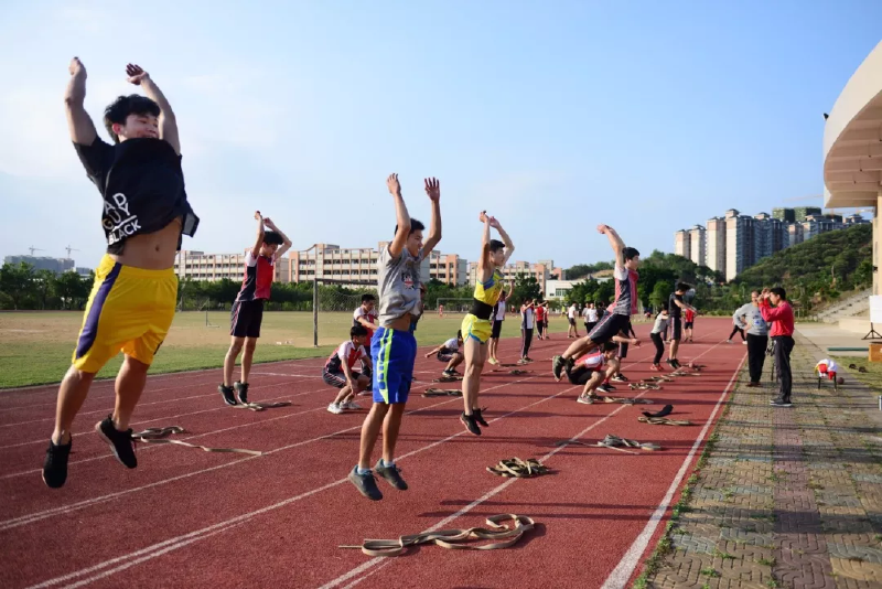 微信图片_201905061323518.png