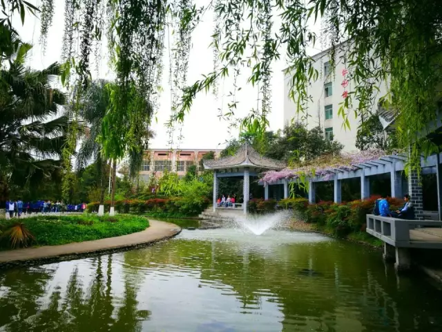 微信图片_201905151536551.png