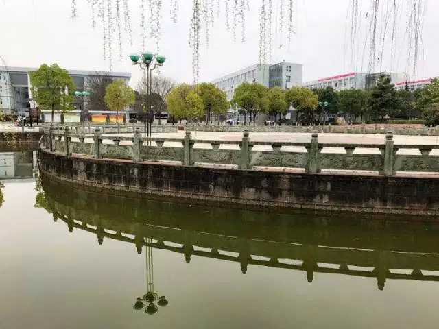 微信图片_201905071417532.png