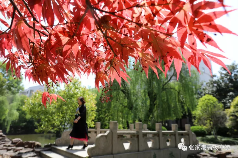微信图片_20190507161636.png