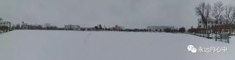 微信图片_20190509105051.png