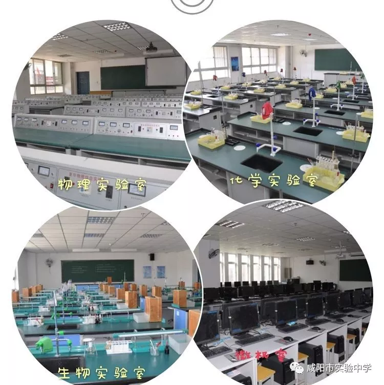 微信图片_20190430114619.png