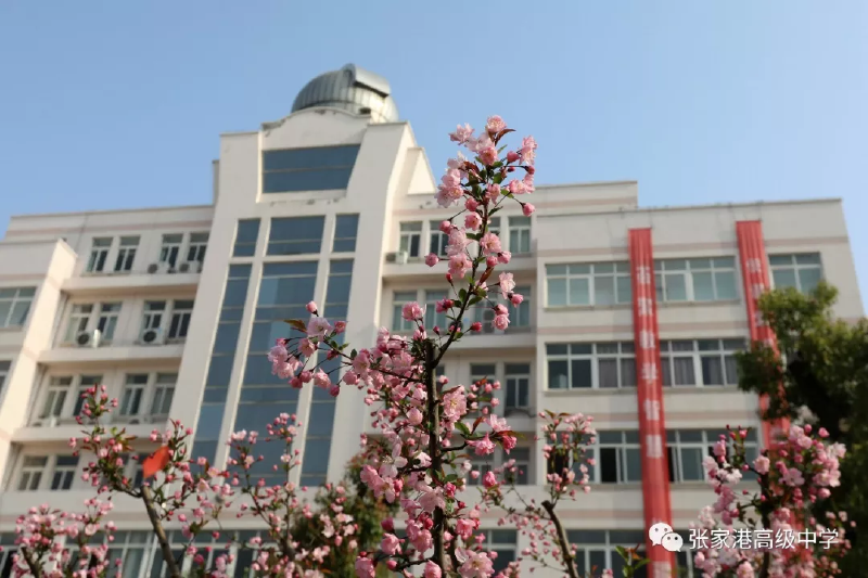 微信图片_20190507161811.png