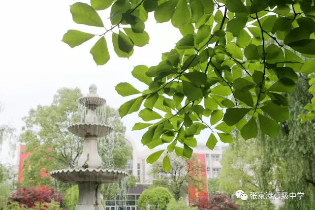 微信图片_20190507161503.png